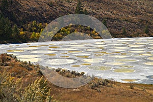 Spotted Lake Osoyoos BC CanadaÂ 